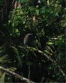 Img_3060.jpg
